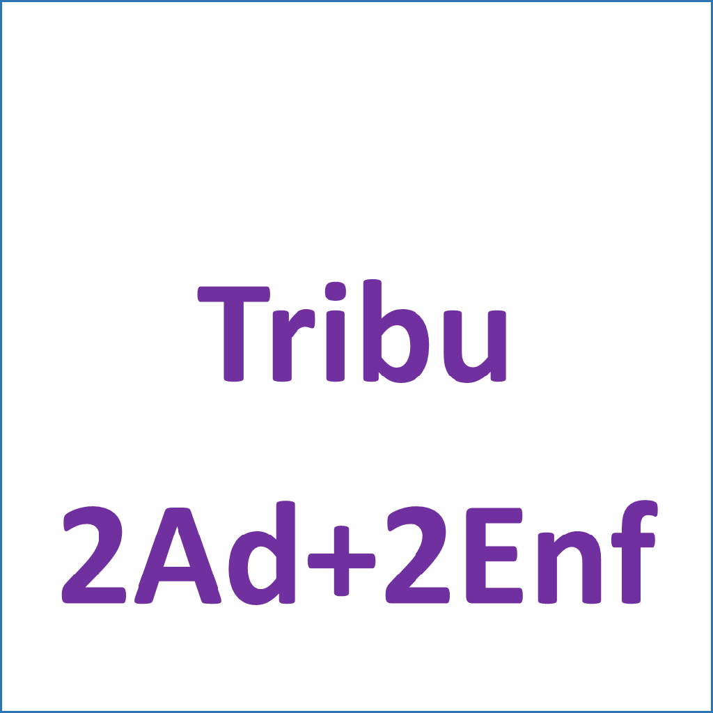 TRIBU