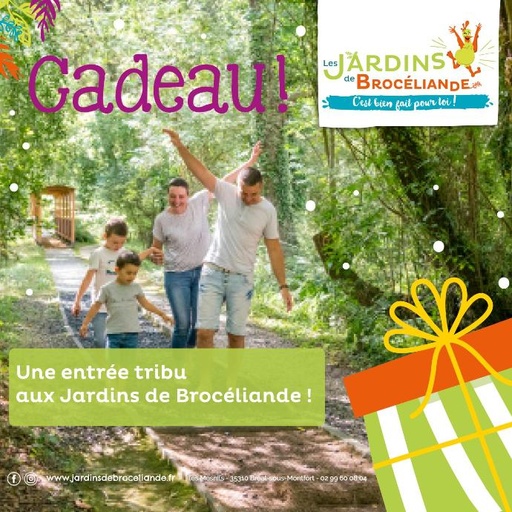 Bon cadeau Entrée TRIBU