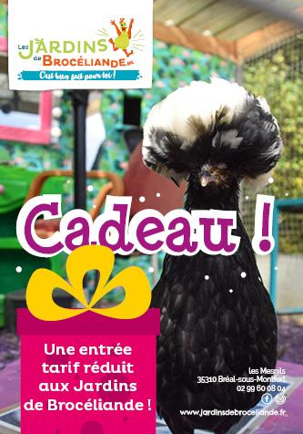 Bon cadeau Entrée Réduite