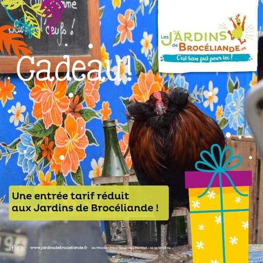 Bon cadeau Entrée Réduite