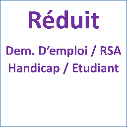 Entrée REDUITE (étudiant, sans emploi, Hand., RSA)