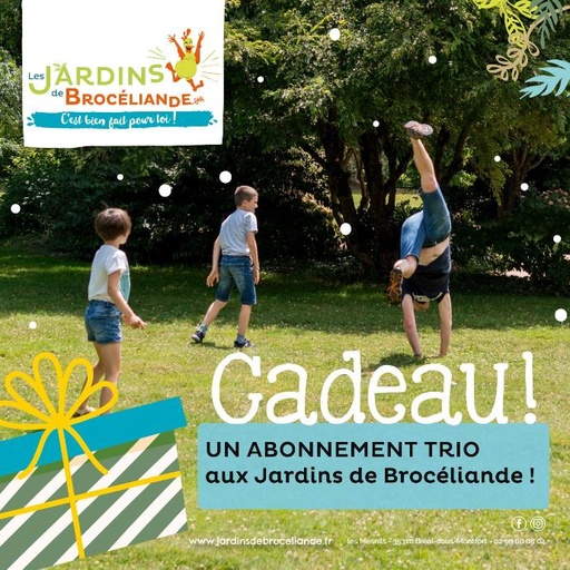 Bon cadeau Abonnement TRIO
