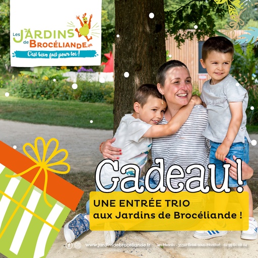 Bon cadeau Entrée TRIO